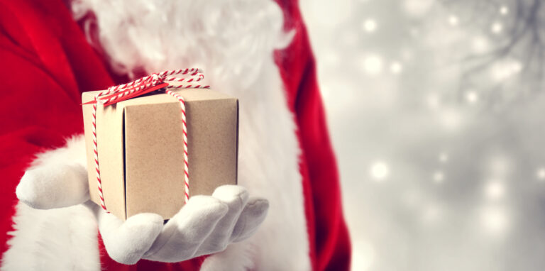 BE A SANTA THIS YEAR  FOR A CHILD IN NEED
